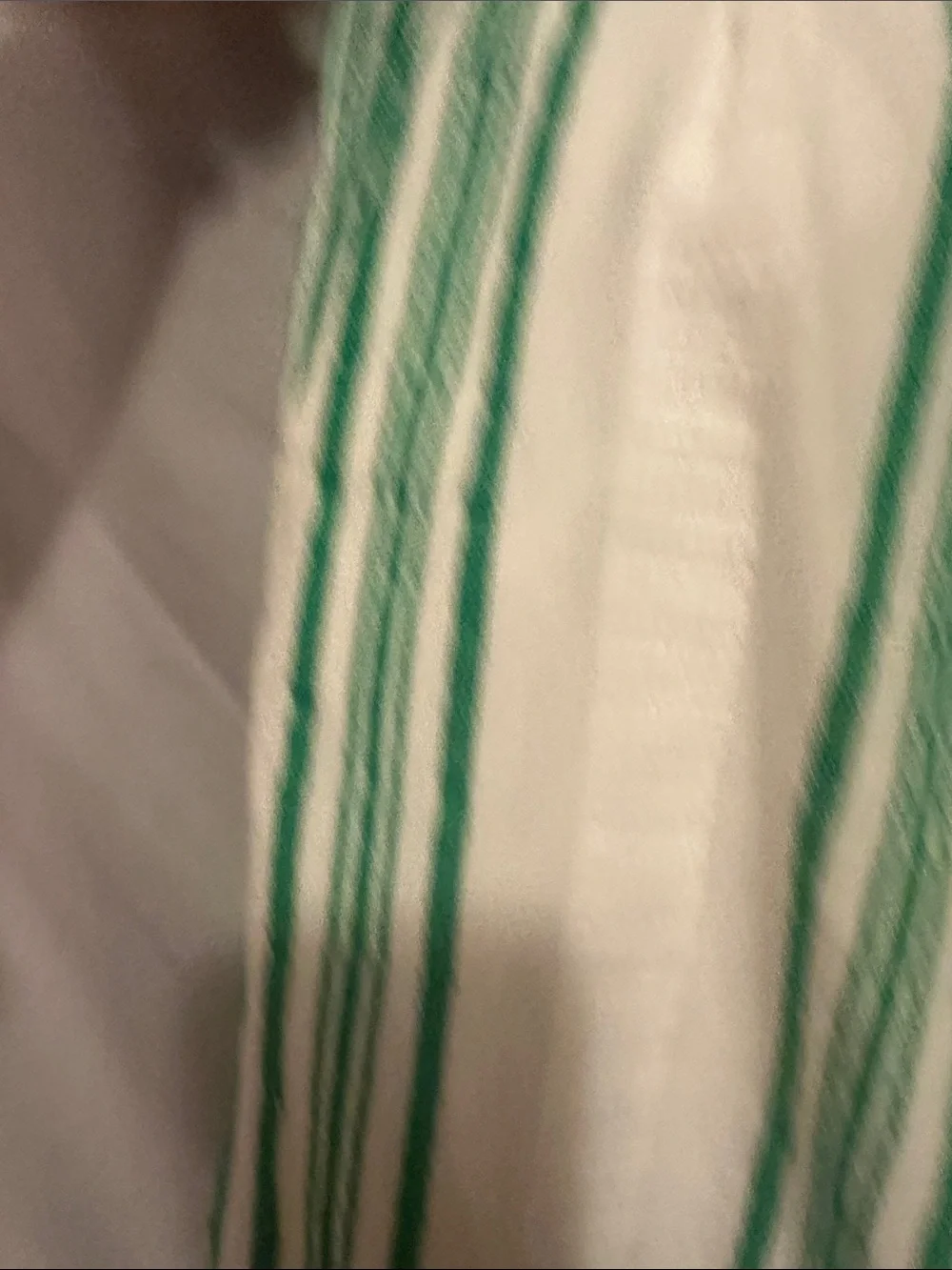 PJ Salvage White Pants with Green Vertical Stripes